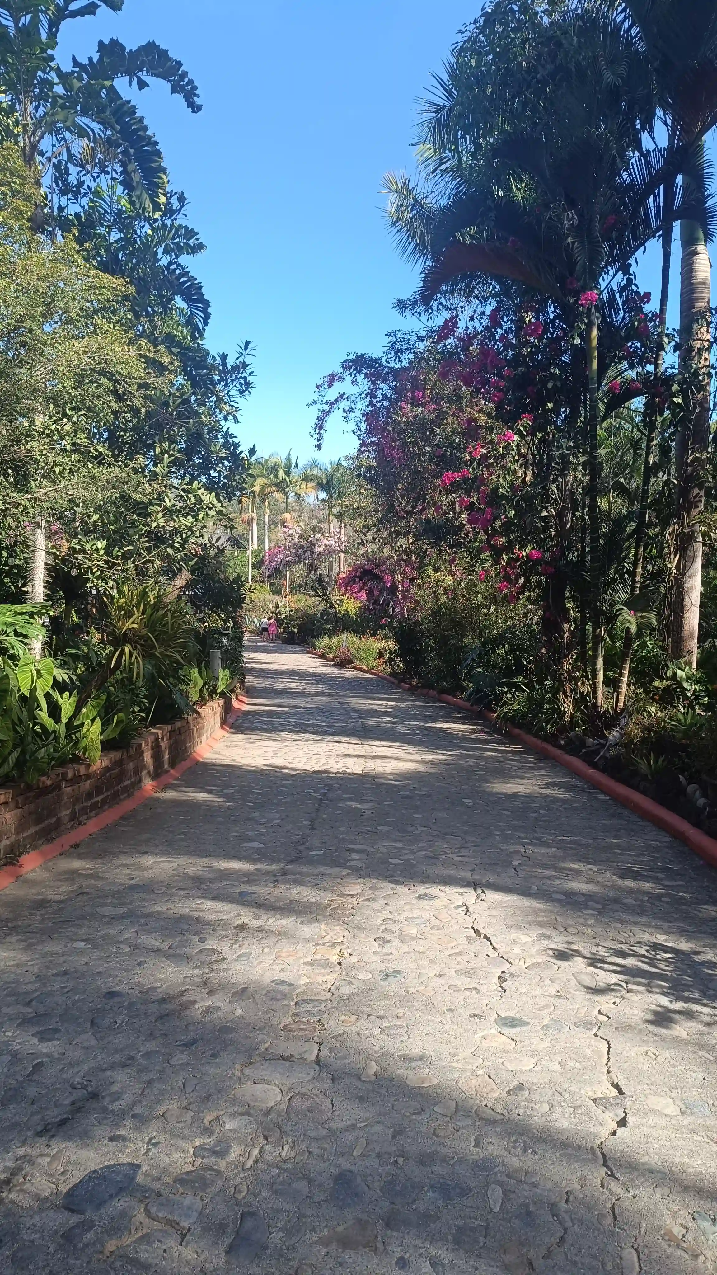 Vallarta Botanical Garden