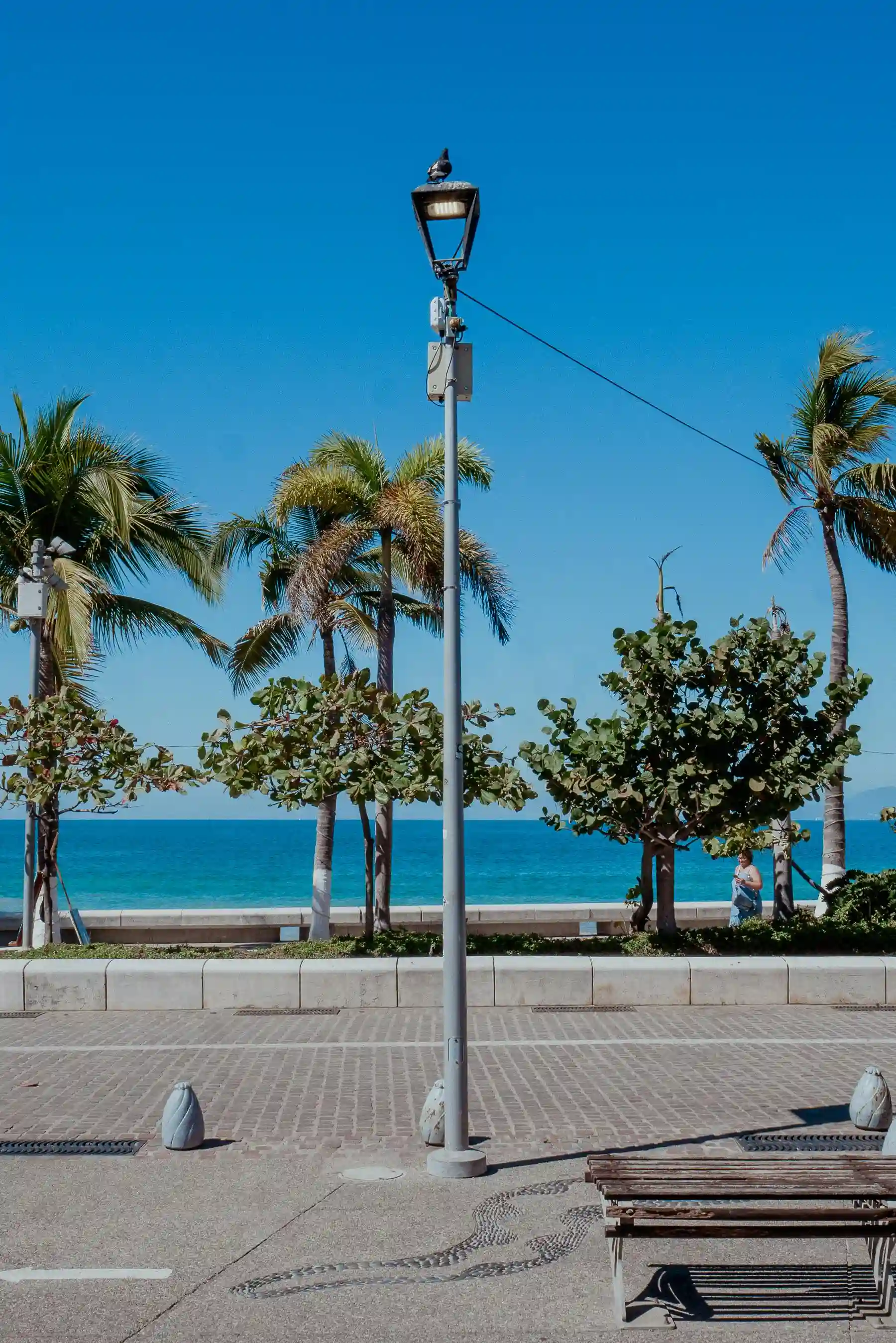 Puerto Vallarta Malecón