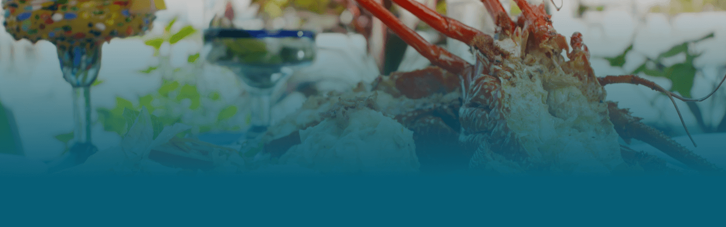 villas paradise slide